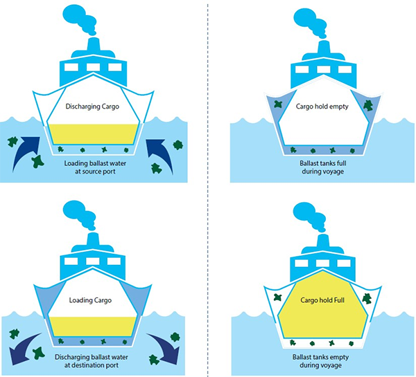 BALLAST WATER MANAGEMENT SYSTEMS (BWMS)